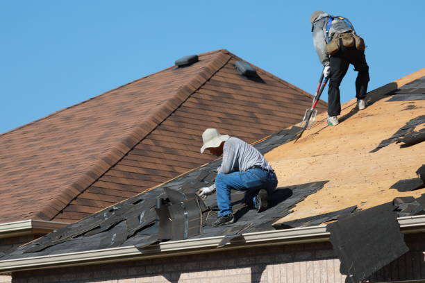 Best Roof Ventilation Installation  in Hardwick, GA
